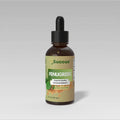 Succus - Fenugreek Tincture - Promotes Natural Wellness - Alcohol Free / 1 fl oz