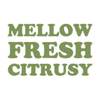 Queen Majesty Hot Sauce - Jalapeño Tequila & Lime Hot Sauce - 5oz