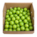Fresh Green Plum