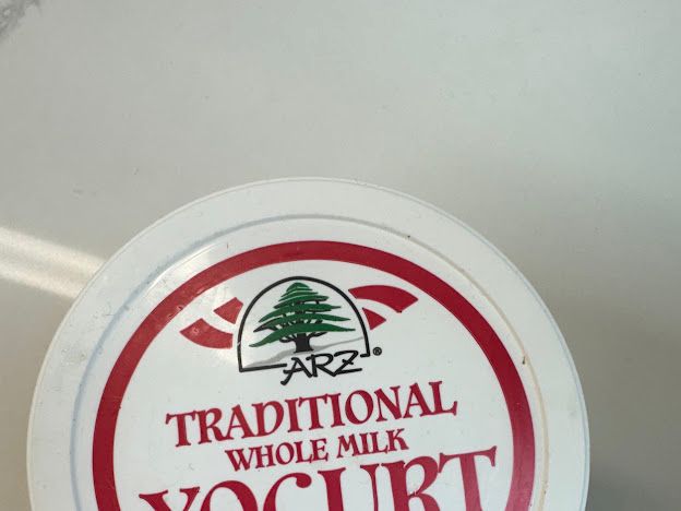 TRADITIONAL WHOLE MILK YOGHURT