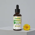 Succus - Dandelion Root Tincture | Premium Herbal Root Tincture - Alcohol Free / 1 fl oz